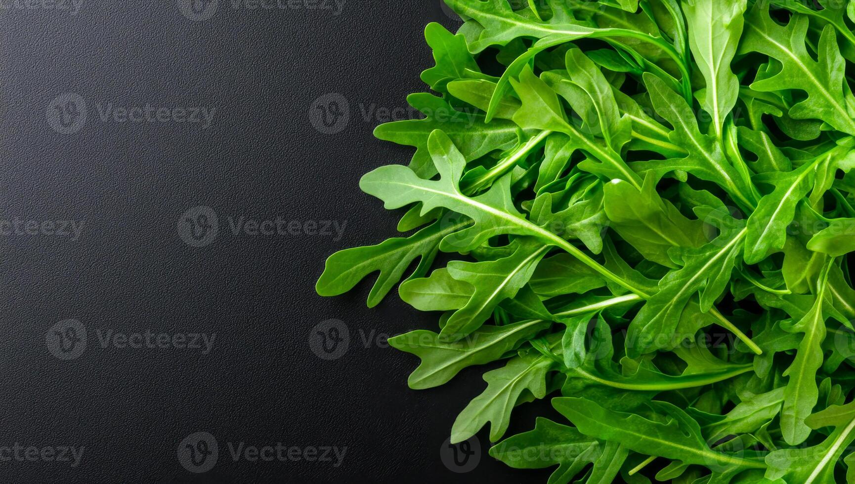 Fresh arugula leaves on dark background. Fresh green arugula leaves arranged on a dark surface, highlighting their vibrant color and unique shape. photo