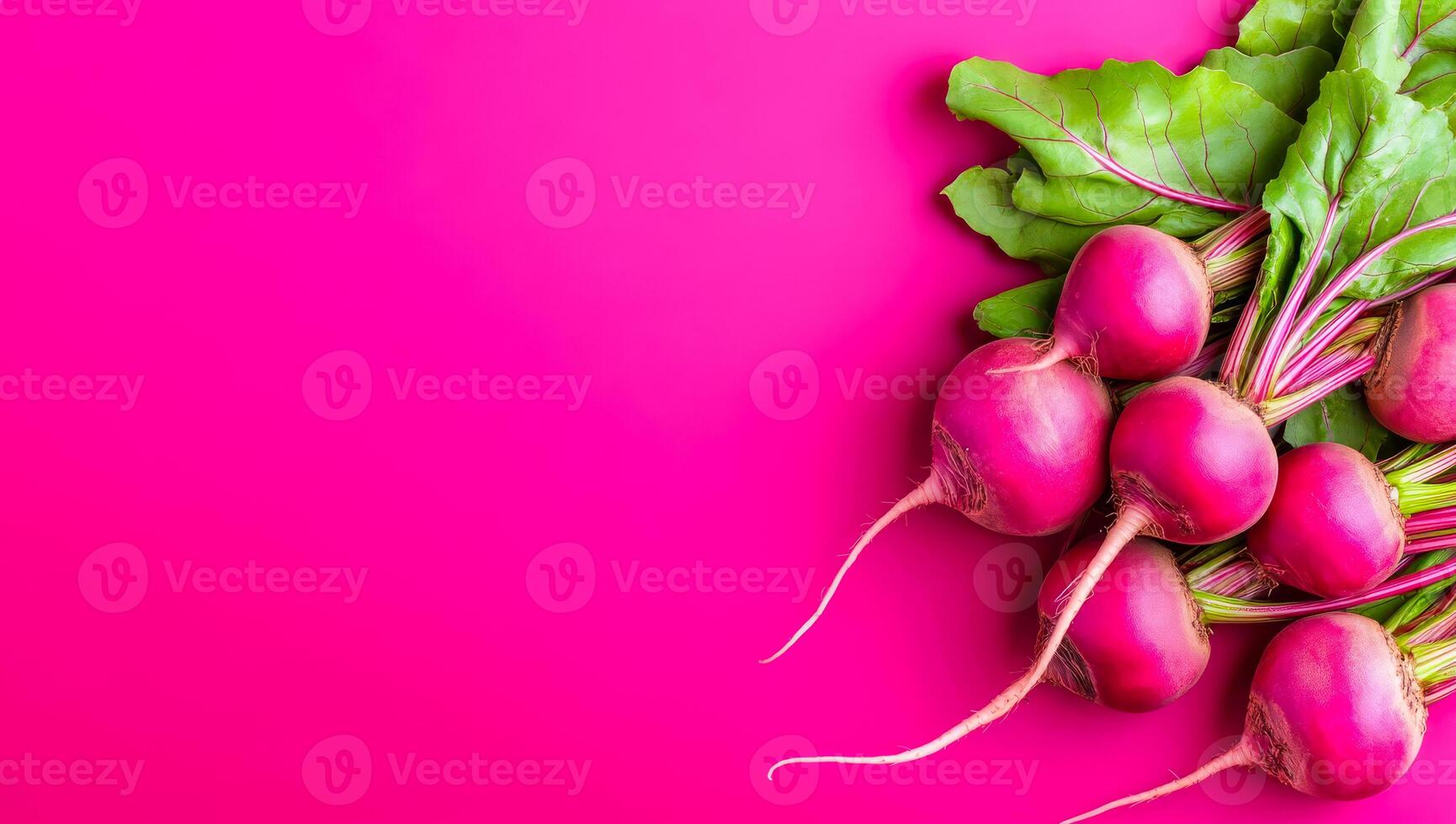 Fresh radishes on a vibrant background. Bright pink backdrop with freshly harvested radishes and their green leaves arranged neatly, showcasing their colors. photo