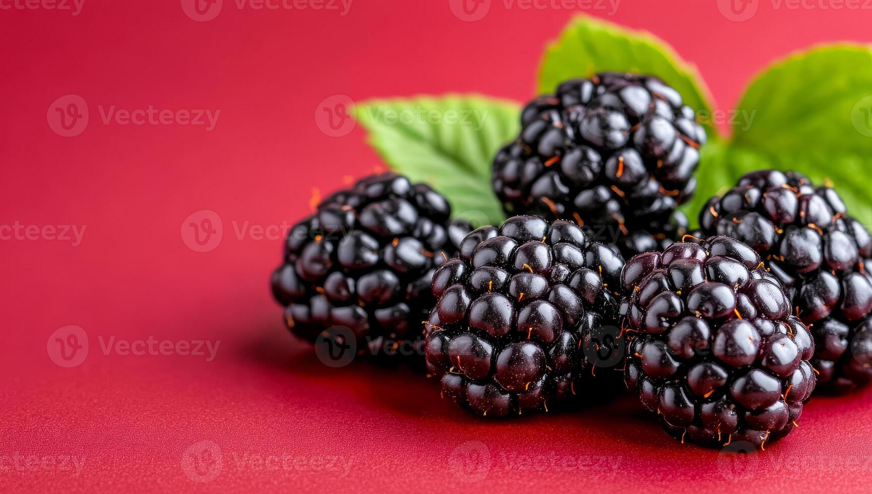 Fresh blackberries on red background. Juicy blackberries are arranged on a vibrant red surface, showcasing their deep color and rich texture. photo