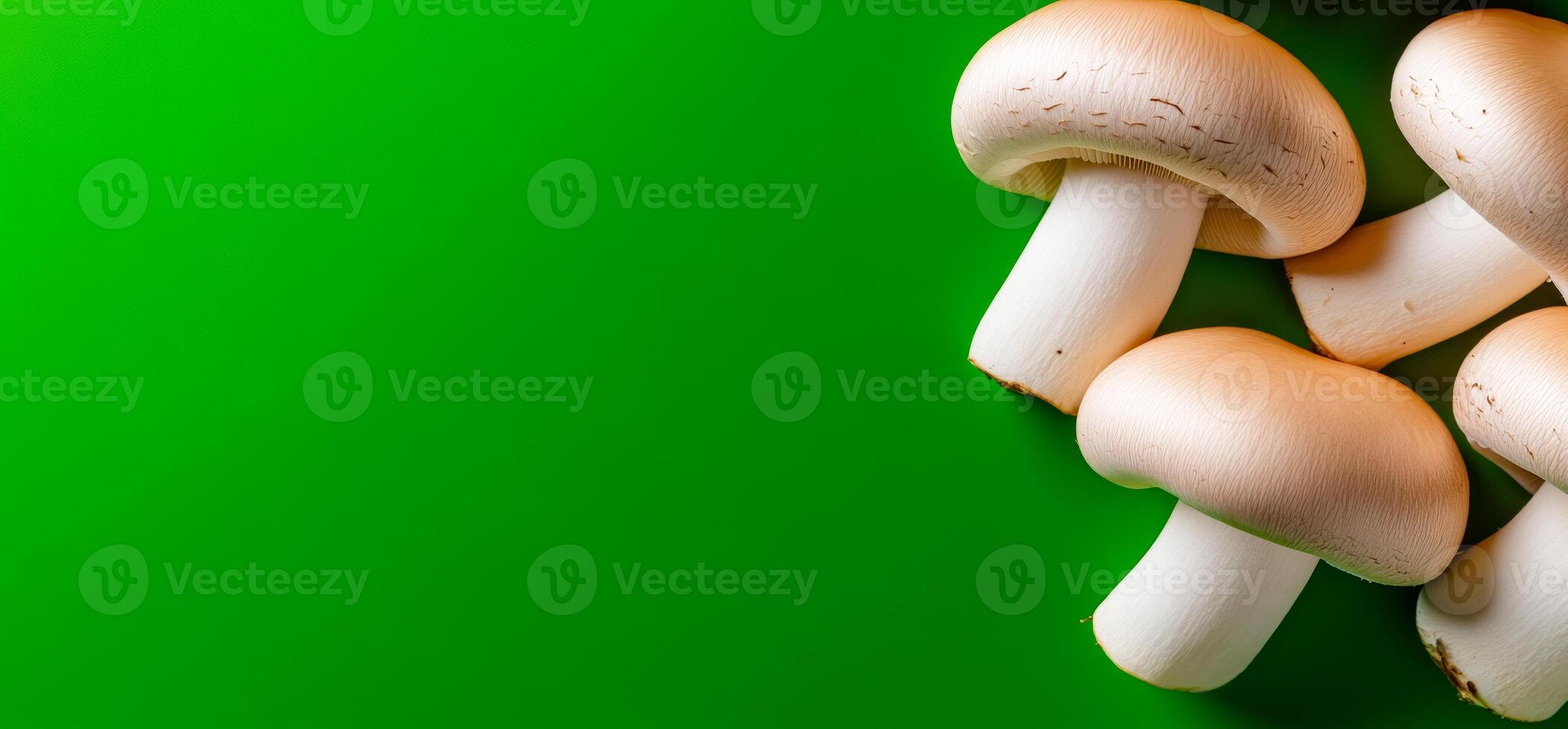 Mushrooms on green background. Freshly picked white mushrooms arranged on a vibrant green surface, showcasing their smooth texture and natural color. photo