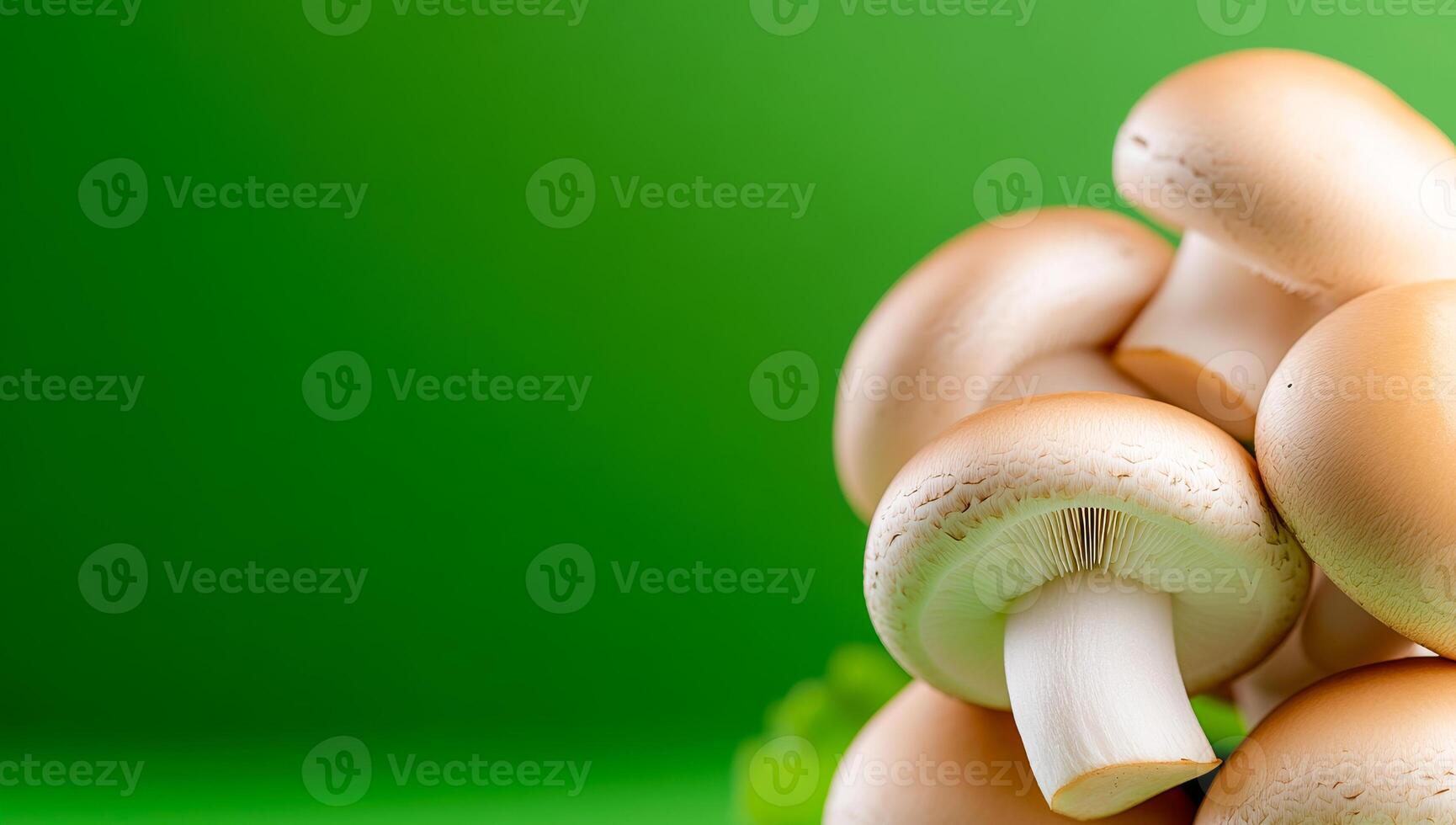 Mushrooms on green background. A cluster of fresh, golden mushrooms rests against a bright green background, highlighting their natural appeal. photo