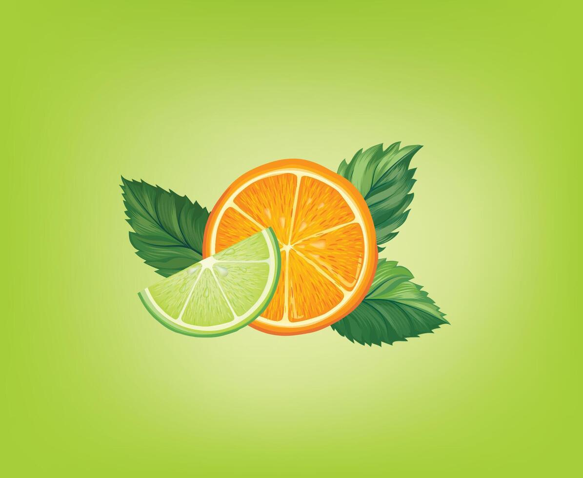 Fresh fruits with mint leaves. Fresh orange, lime, mint sliced pieces. citrus food background with fruits juice drink. vector