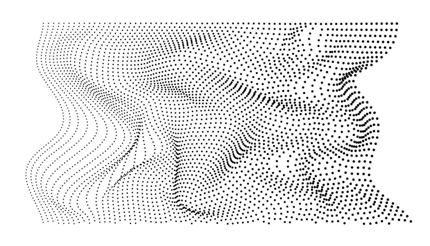 A black and white image of a woman's face vector