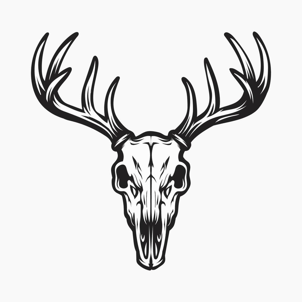 Sketch of deer head skull with horns vector