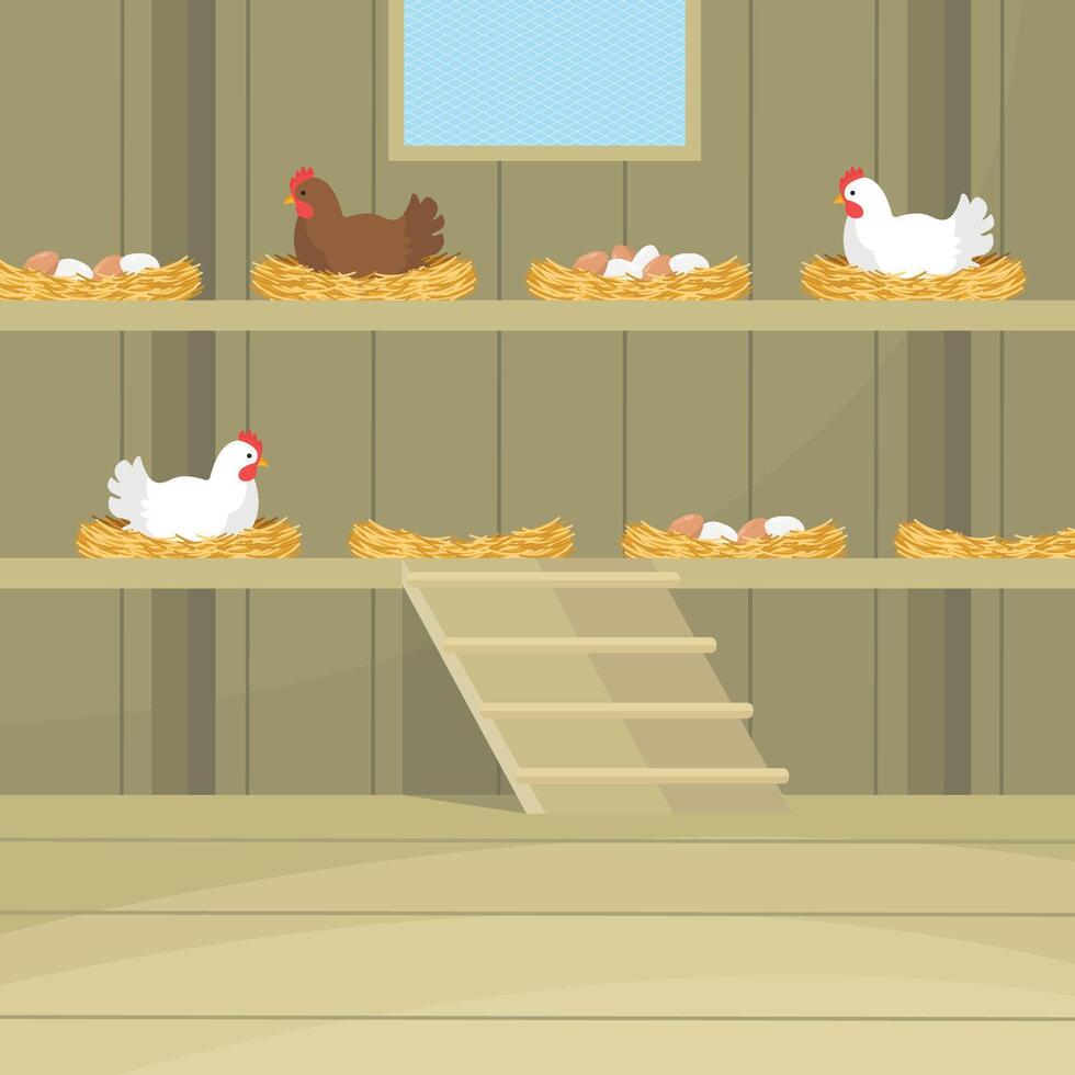 Interior of a chicken coop with hens, shelves, ladder and window. Hatching eggs. Farm product. vector