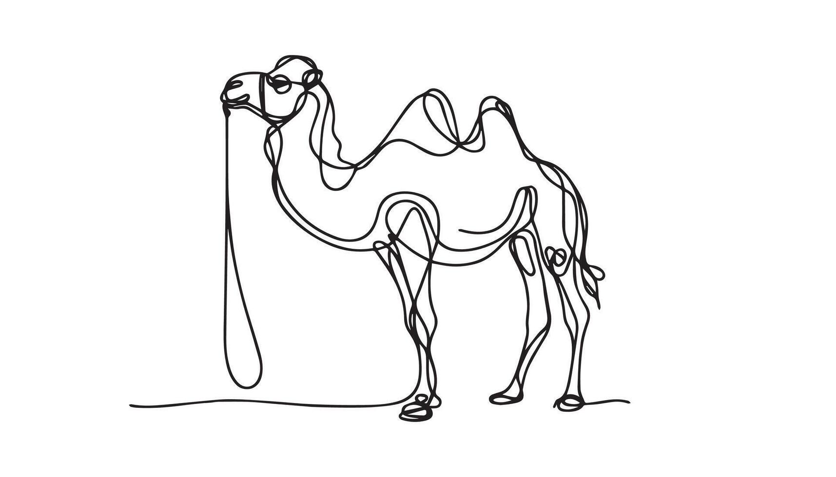 camel one line art illustration vector
