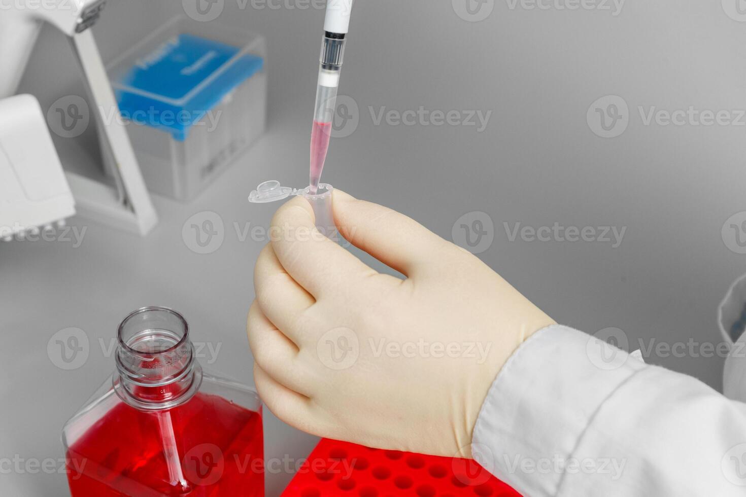 A hand in a light-colored glove carefully adds a pink reagent to a small test tube in a laboratory with a pipette. photo