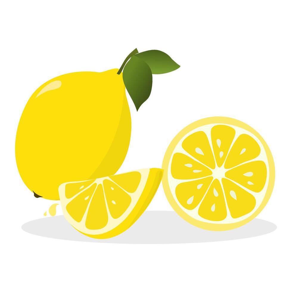 set of fresh lemon illustration vibrant, lemon art vector