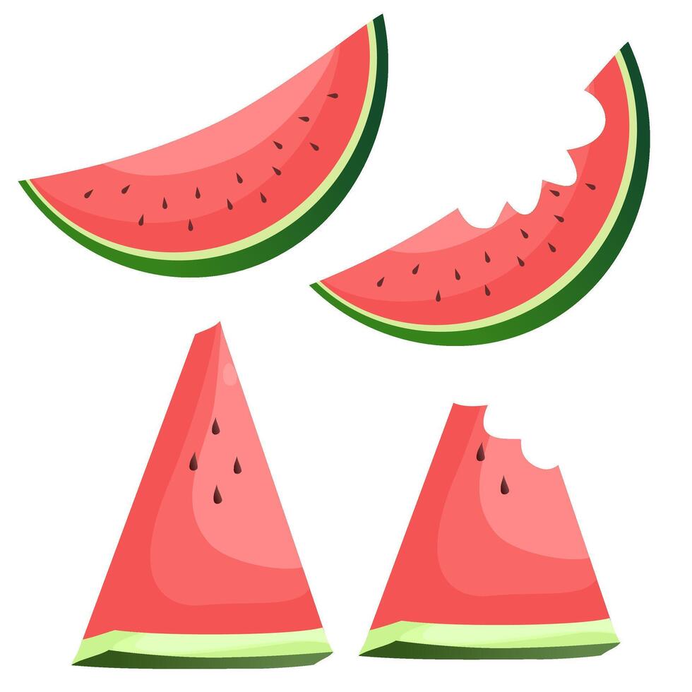 Set of watermelon half and sliced on white background. Fresh and juicy watermelons. cut and chopped fruit. vector