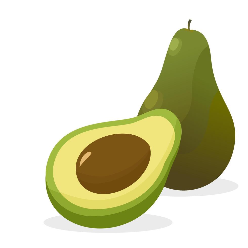 cartoon illustration of avocado slices fruits in flat design. clip art fresh fruit avocado isolated white background vector