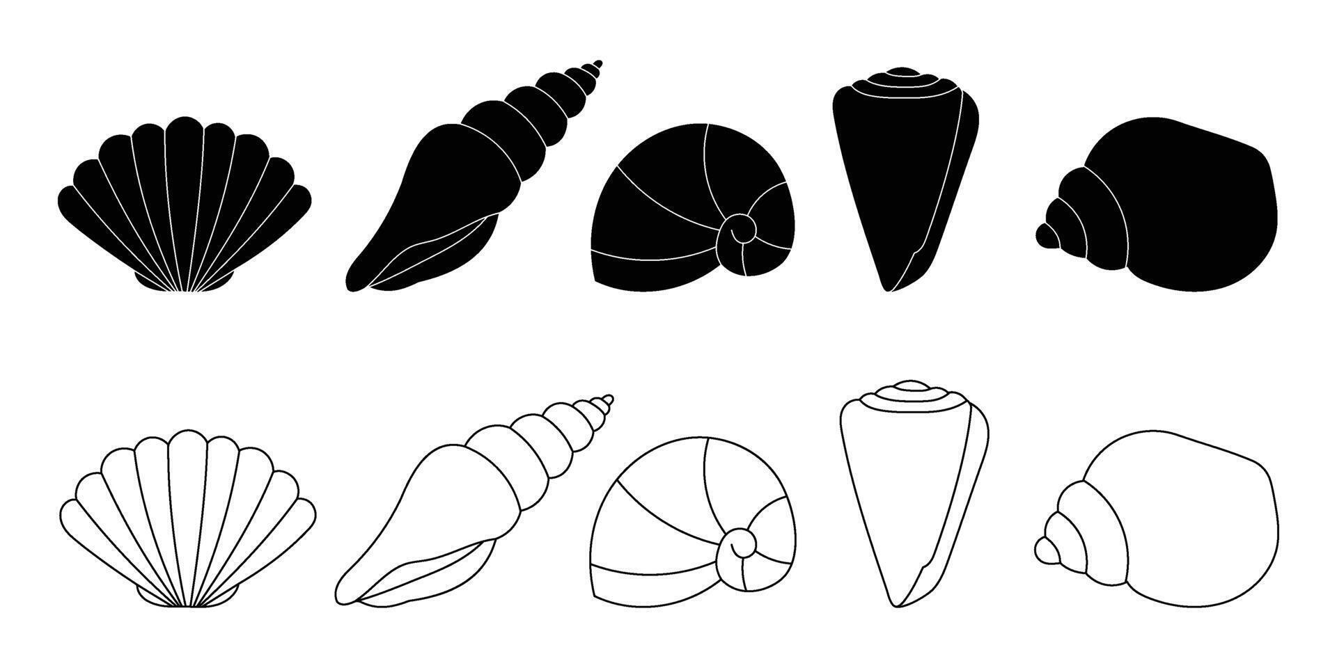 Seashells outline and black shape silhouette icons isolated on white background. Underwater mollusk design elements vector