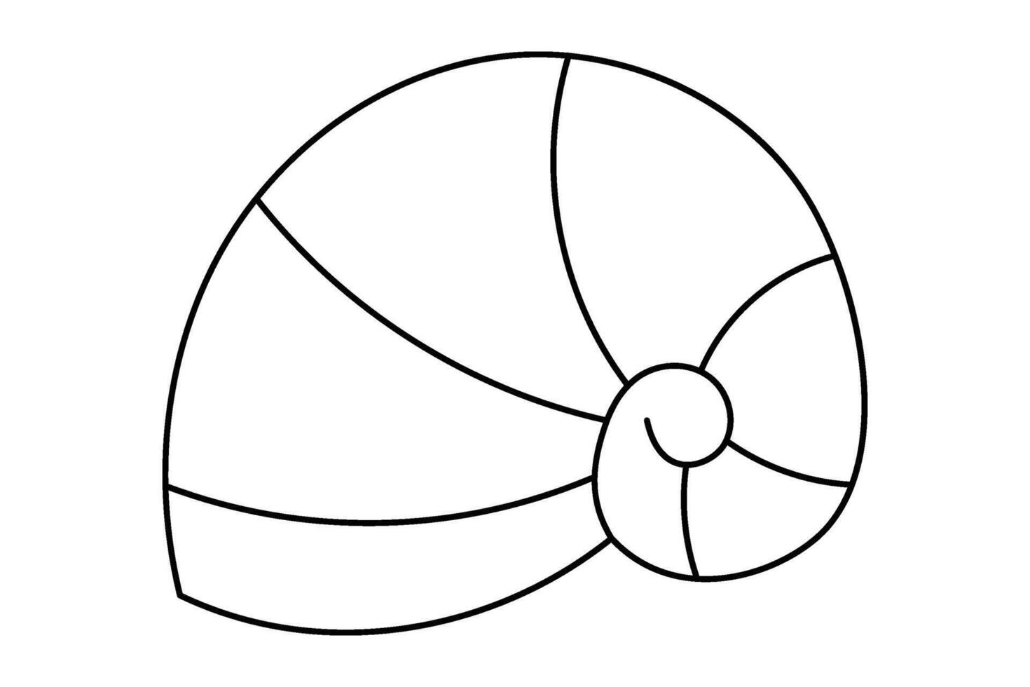 Black and white seashell outline illustration. vector