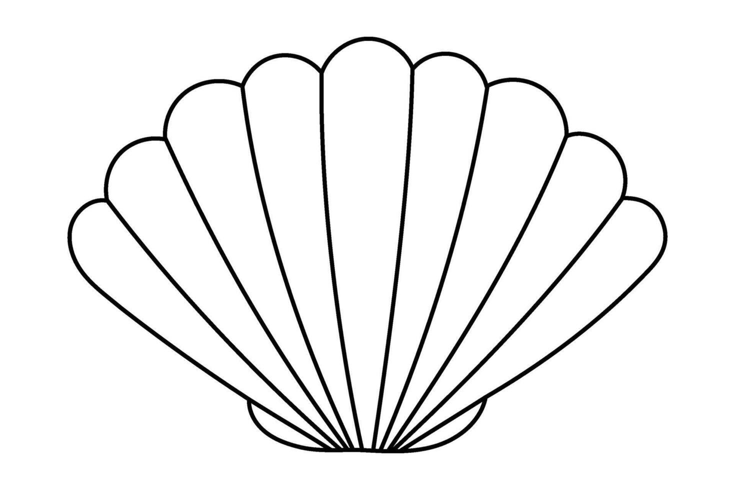 Black and white outline of a seashell with radiating lines. vector