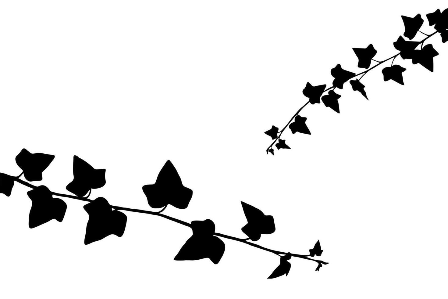 The beautiful shadow of the morning glory leaves. The leaves and trunk create a beautiful atmosphere, conveying the beauty of nature. The concept of the silhouette of the creeper. vector