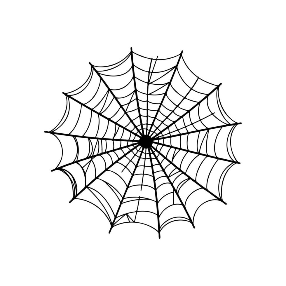 Spider Web Illustration on white background vector