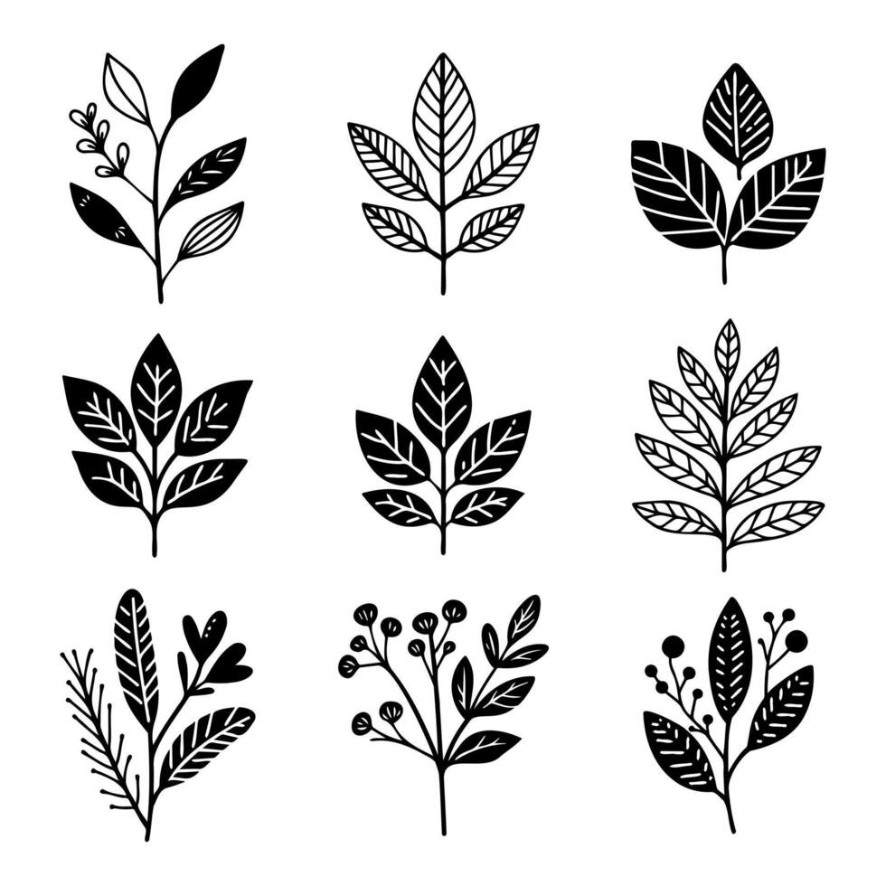 Collection of stylized black and white leaf illustrations, Boho art. vector