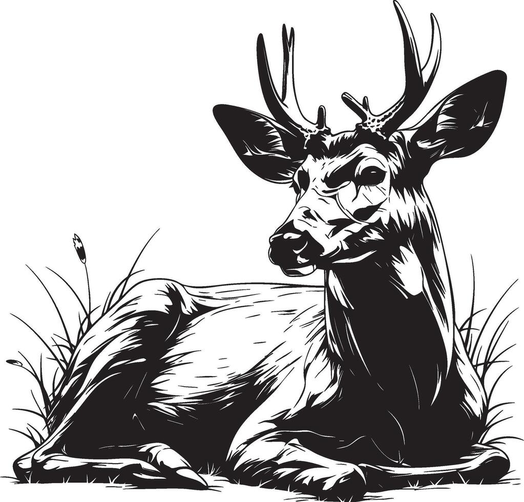 Resting deer with antlers in calm black and white forest artwork vector