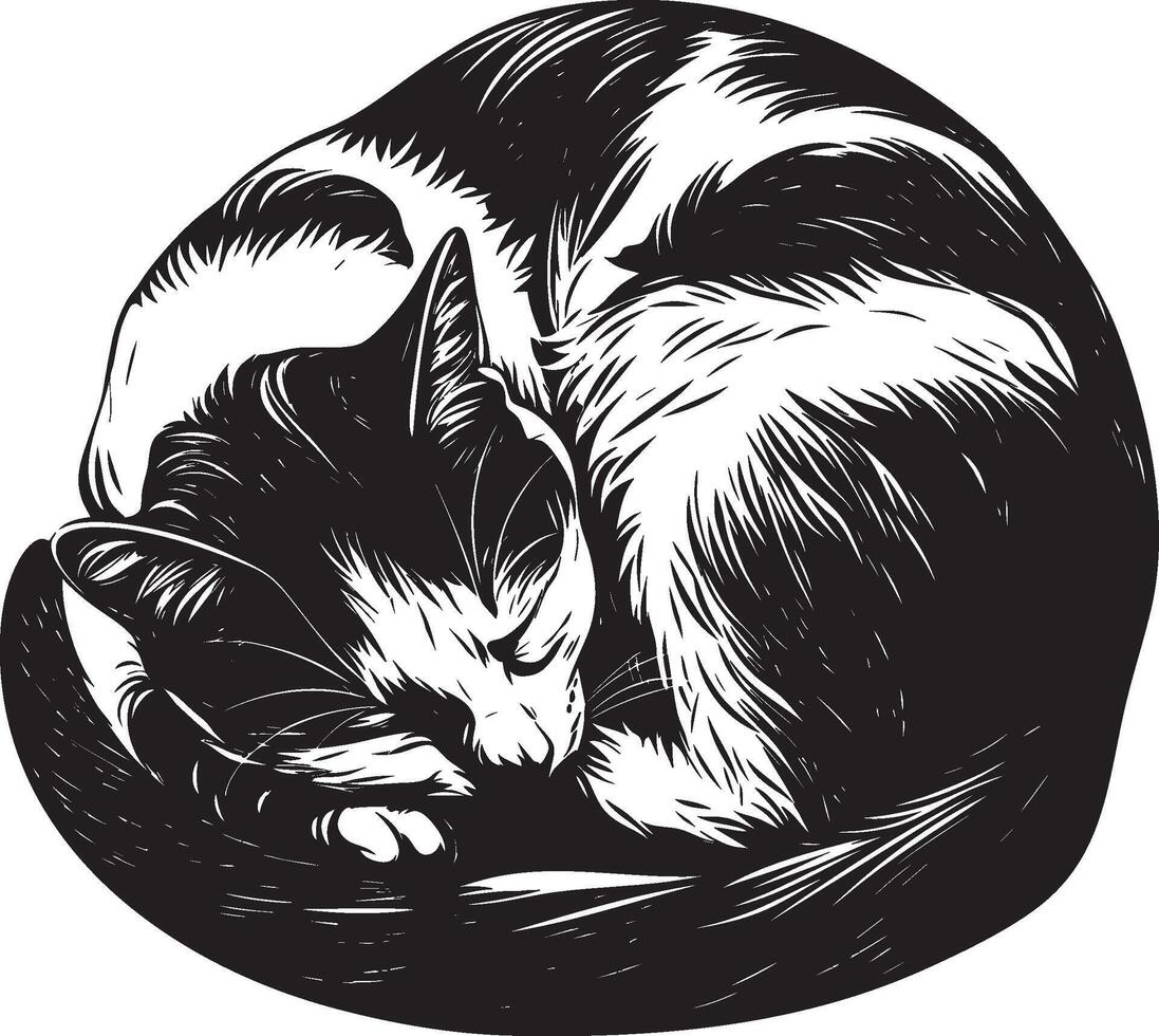 Curled sleeping cat in cozy black and white illustration vector