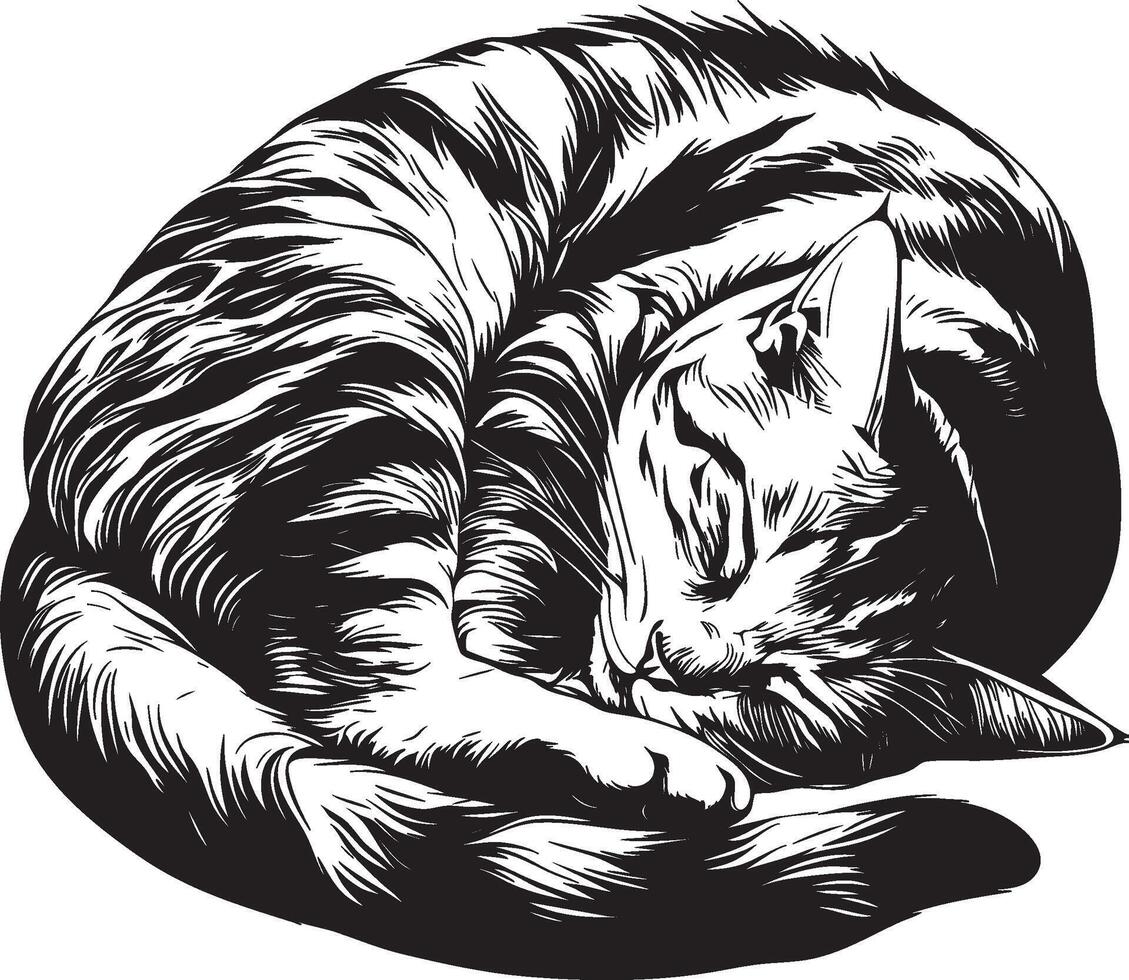 Sleeping cat curled up in black and white stylized hand drawn illustration vector
