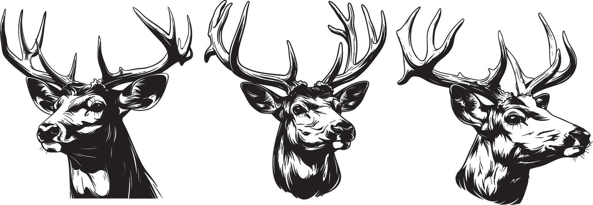 Multiple deer heads in black and white stylized wildlife illustration vector