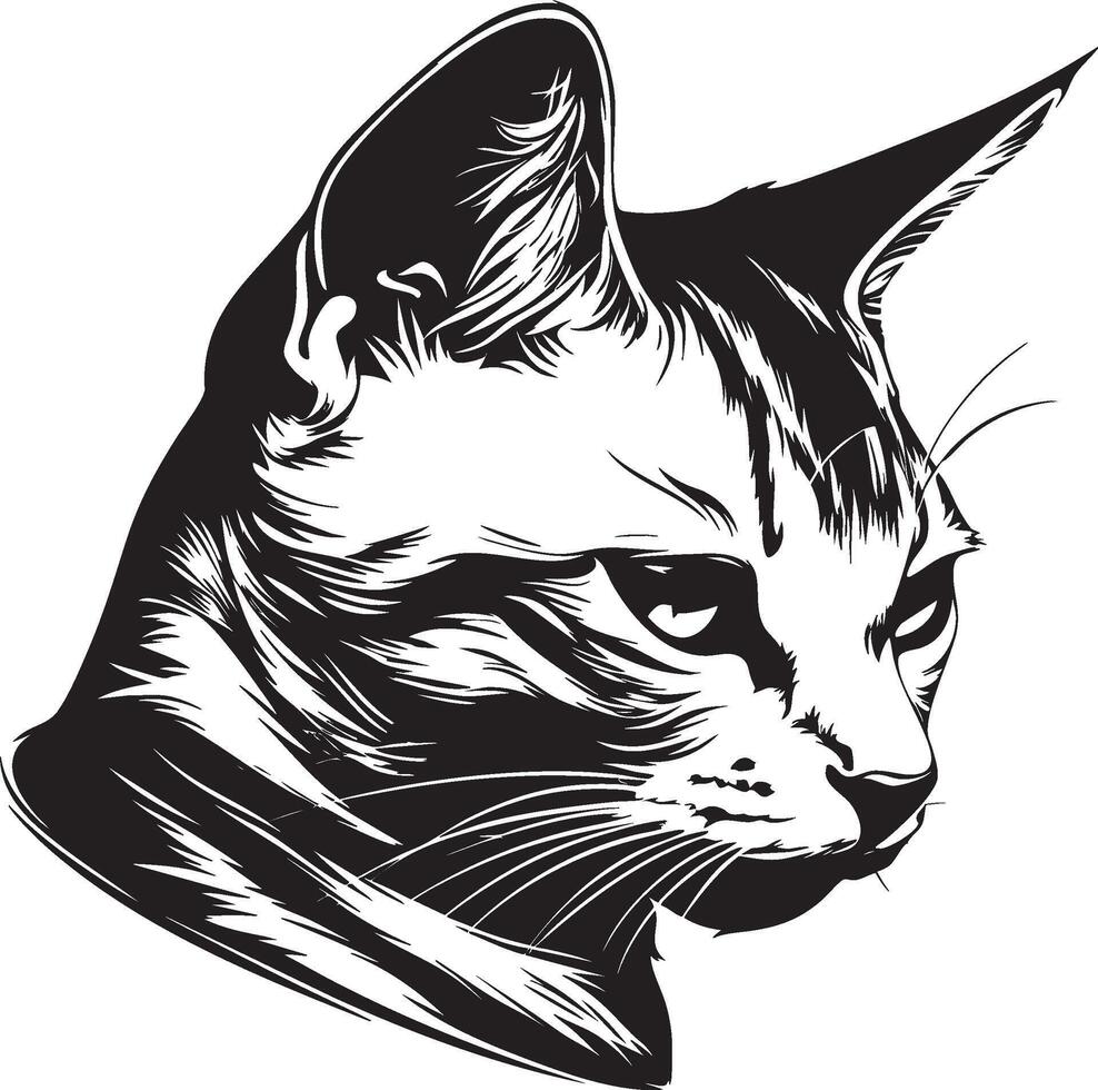 Cat head illustration in stylized black and white with focused gaze vector