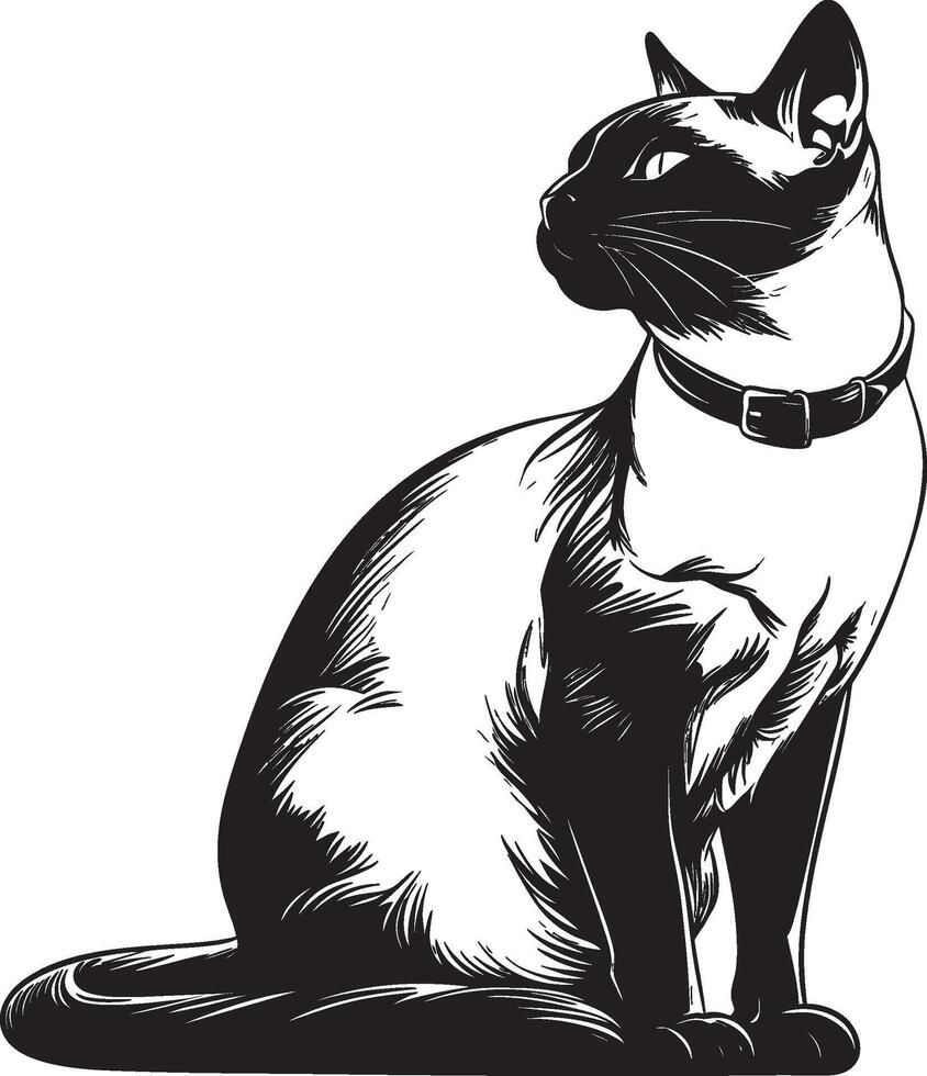 Standing cat in black and white illustration with collar and upward gaze vector