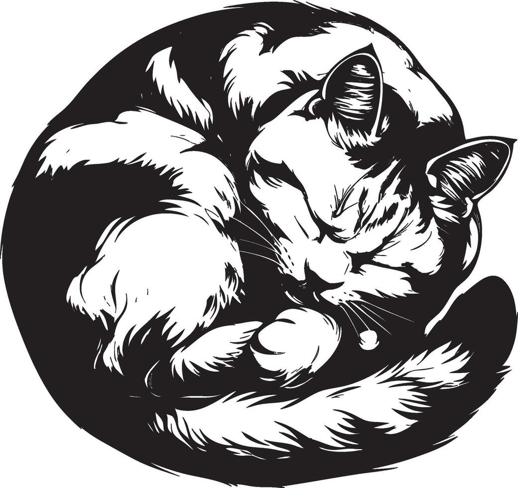 Sleeping cat curled up in black and white stylized handdrawn illustration vector