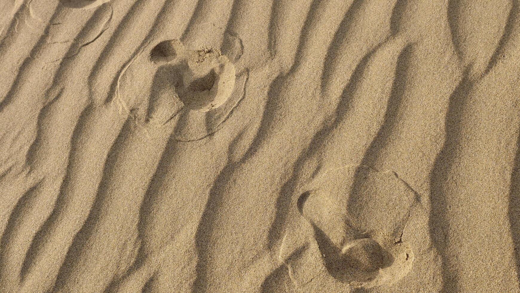 A person walking on the sand with their feet in the sand photo