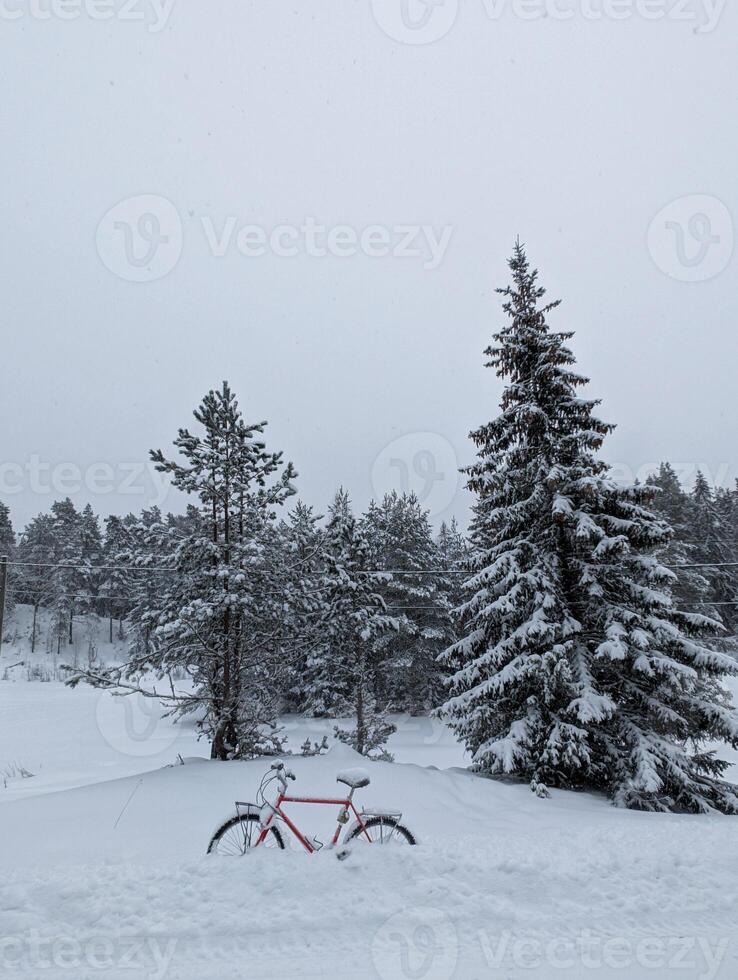 Vertical footage photograph bicycle eco transport country road way path Scandinavian climate winter scenery weather condition nature chill snowdrift cold activities ice frost falling snowflakes forest photo