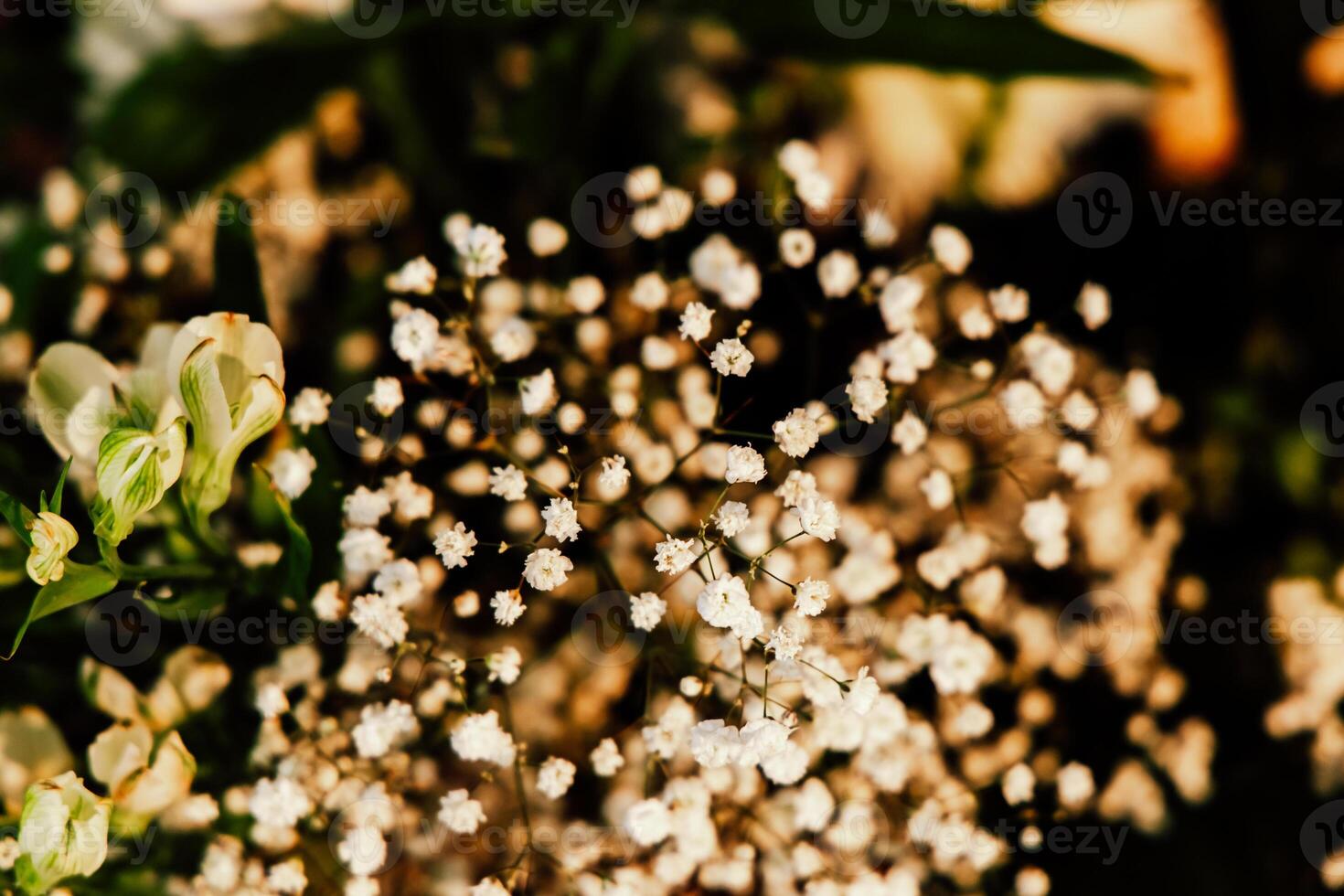 Delicate white flowers create a soft romantic atmosphere in a floral arrangement photo