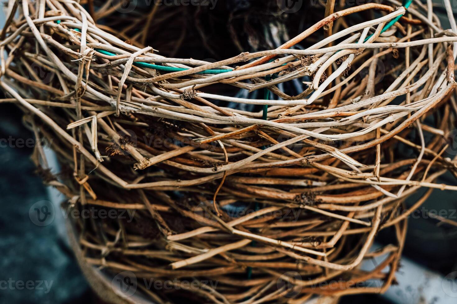 Detailed close up of natural twigs and vines forming an intricate texture in an outdoor setting photo
