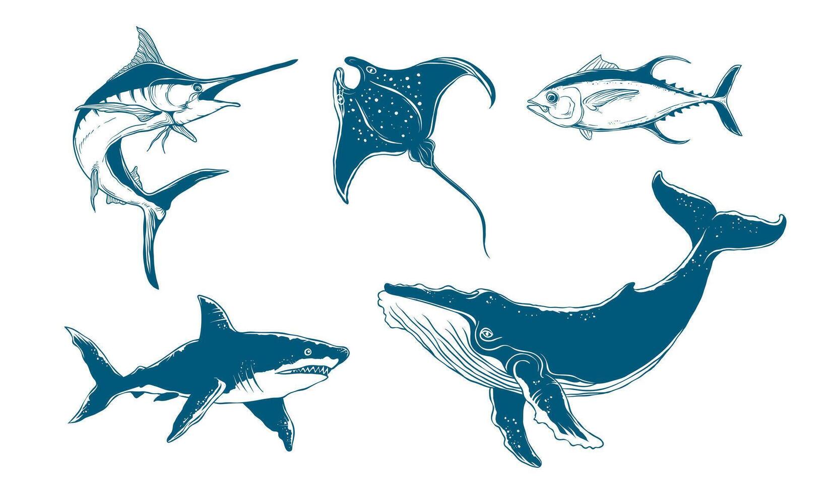 Fish and marine life hand drawn illustration. Suitable for marine biodiversity design element. Whale, shark, and marlin illustration. vector
