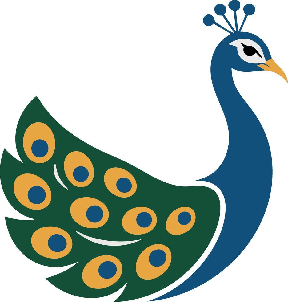 A peacock with blue and green feathers vector