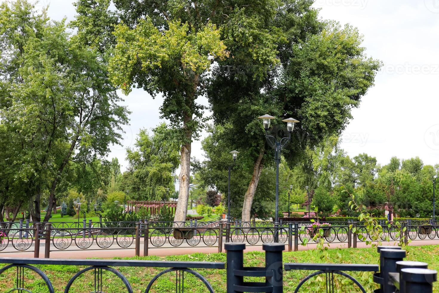 Scenic urban park with lush greenery and walking paths on a sunny afternoon photo