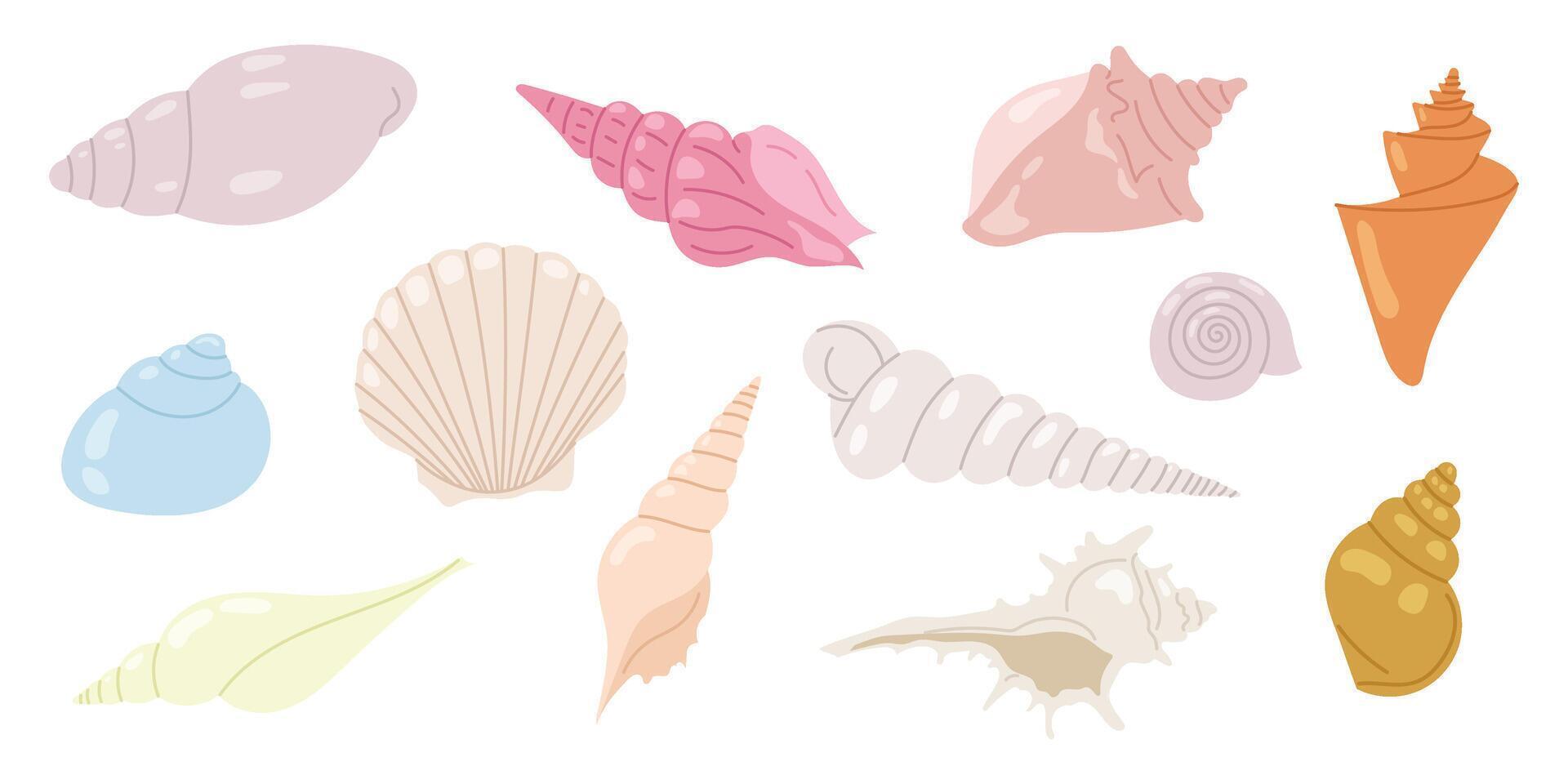 Set sea shells. Hand drawn underwater elements. Illustration for summer, ocean design, beach decor, kids projects. Collection marine shells. vector