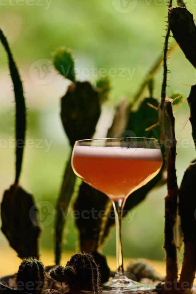 a cocktail glass filled with a bright red liqueur with a foamy top. photo