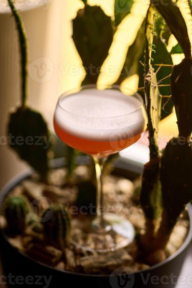 close up of an alcoholic beverage depicting a cocktail glass filled with a bright red liqueur with a foamy top. photo