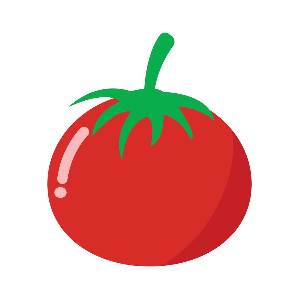 Organic red tomato isolated on a white background vector