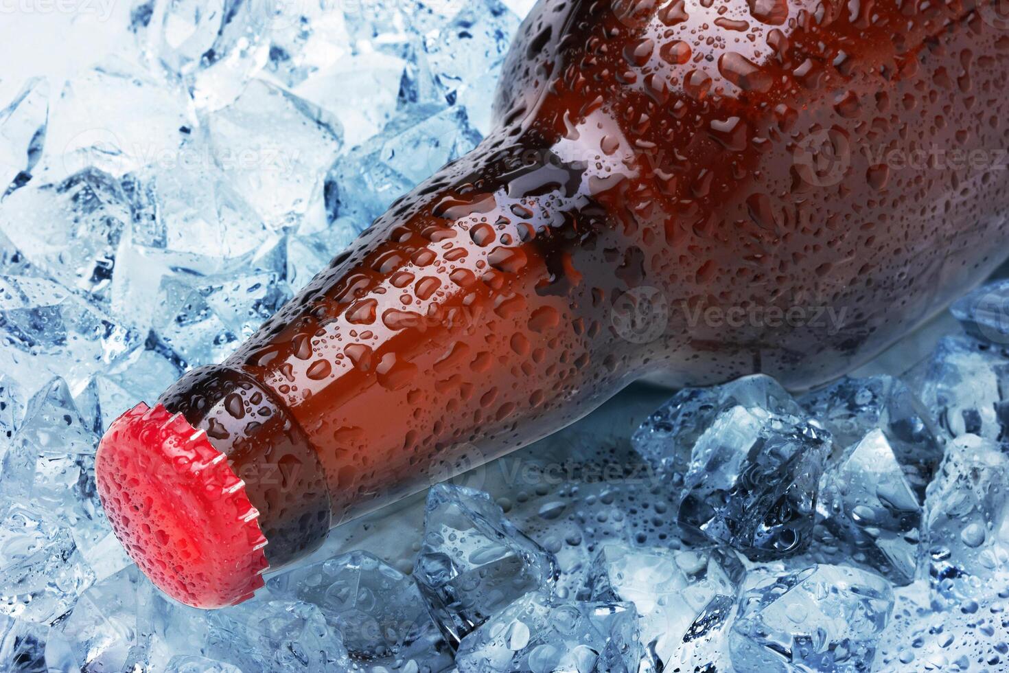 Bottles in the ice photo