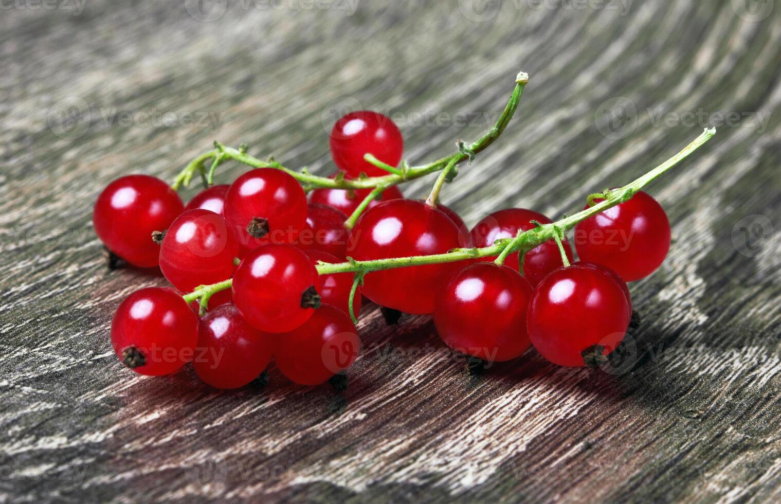 Red Currant on wood photo