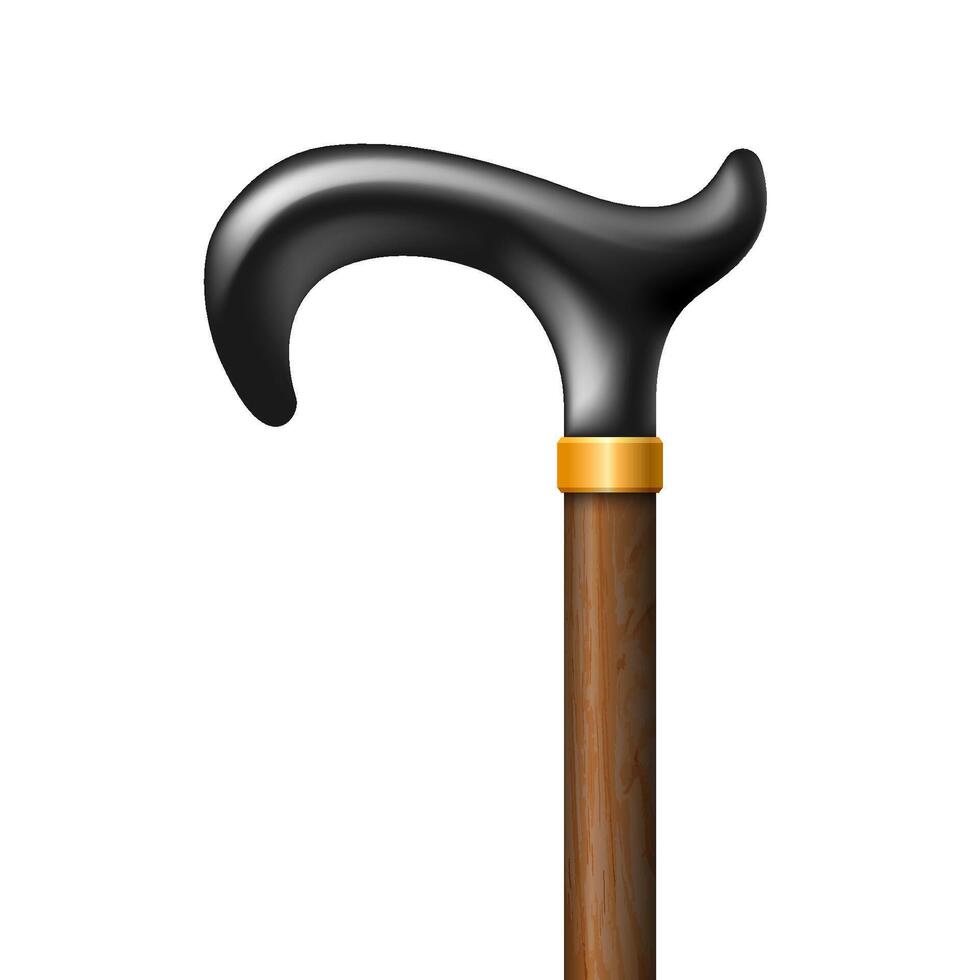 stick handle of cane isolated on white background vector