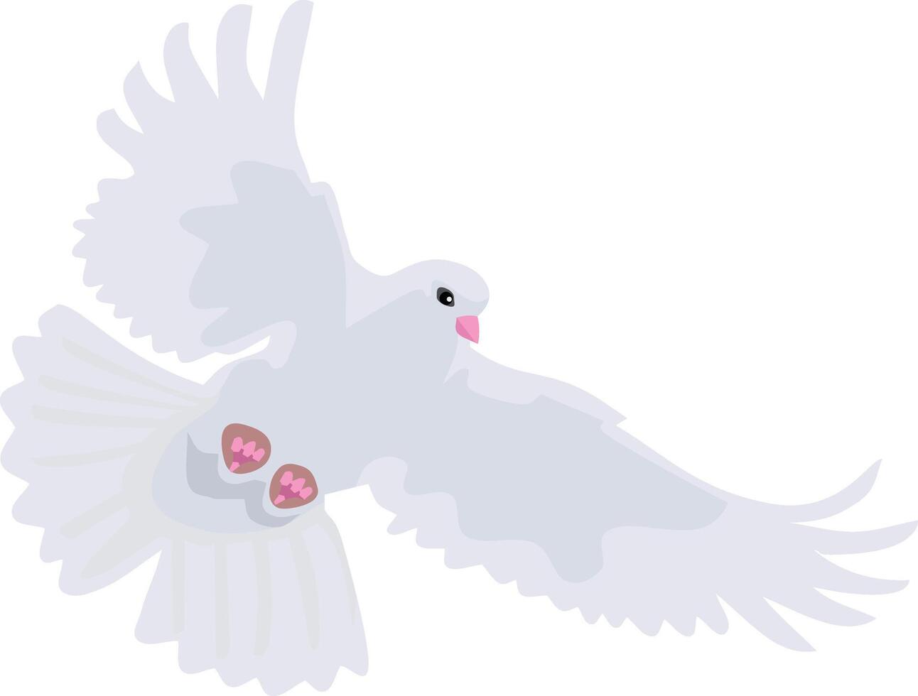 Flying Dove Bird Animal vector