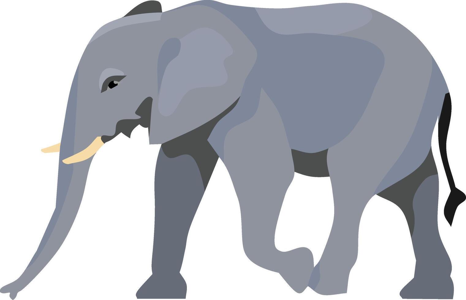 Elephant Mammal Animal vector