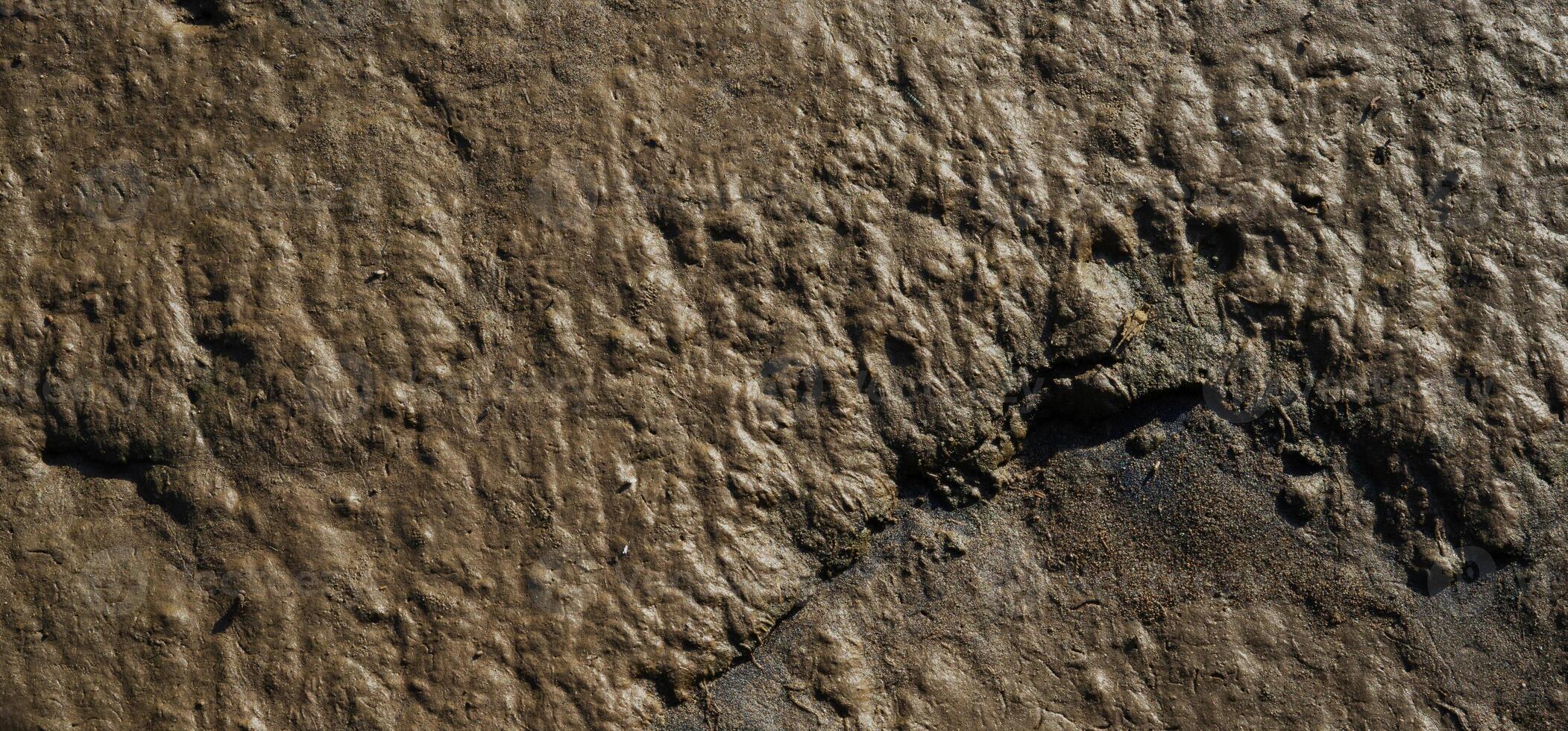 wet mud texture background photo