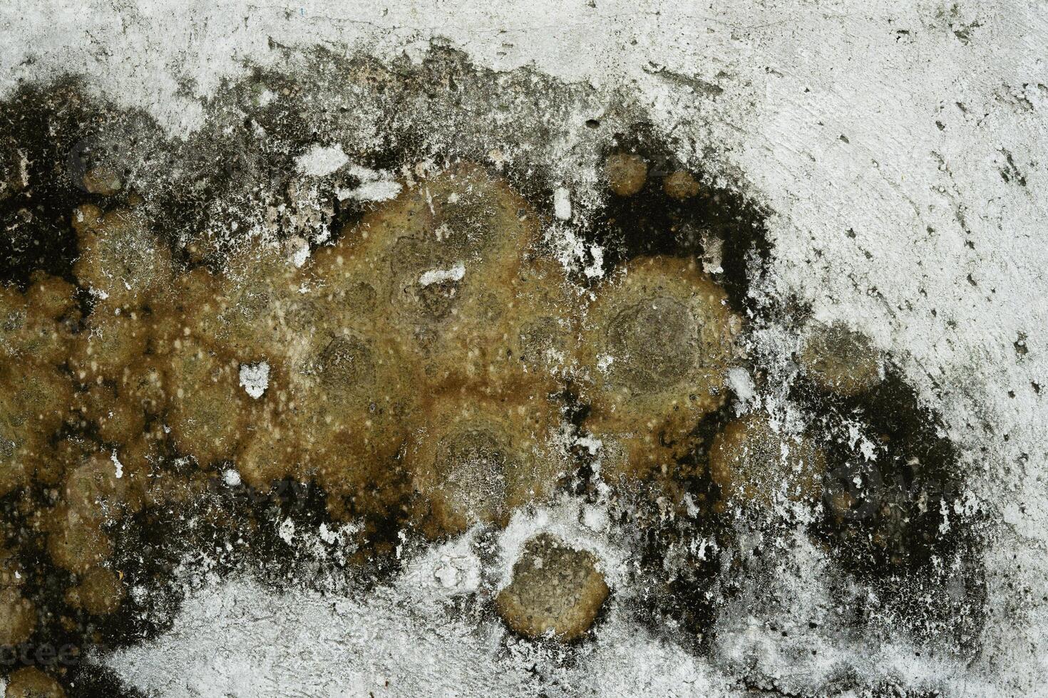 old dirty wall texture background photo