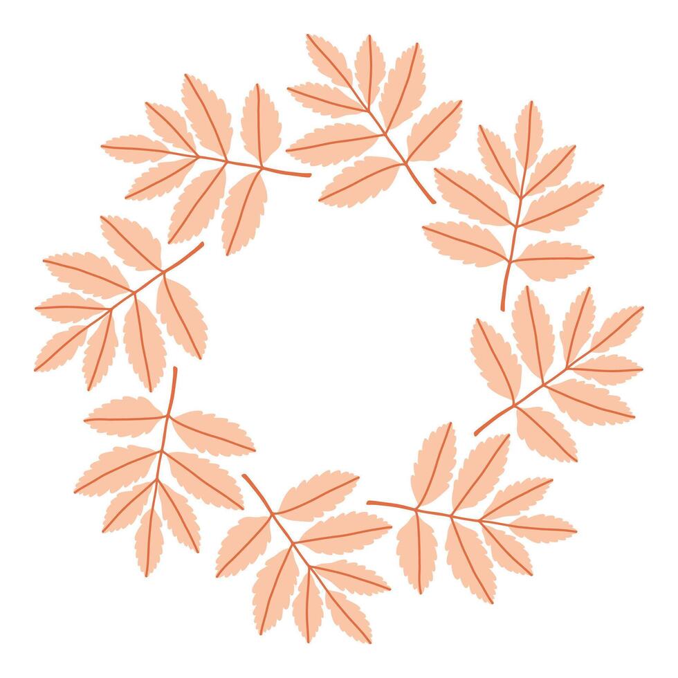 Simple pink rowan leaf circle frame. Cute wreath border of autumn leaves. Hello fall. seasonal illustration. Template for poster, postcard. vector