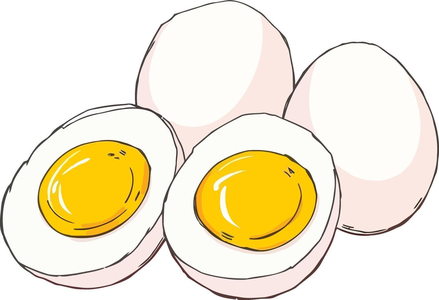 Flat Style Boiled Eggs Illustration Whole, Halved, and Eggshell Illustration vector