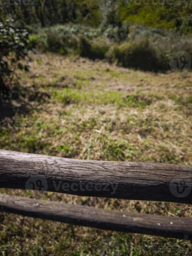 Aged wooden fence bordering grassy meadow near aosta, capturing rustic italian countryside with autumn's muted golden hues targnod photo