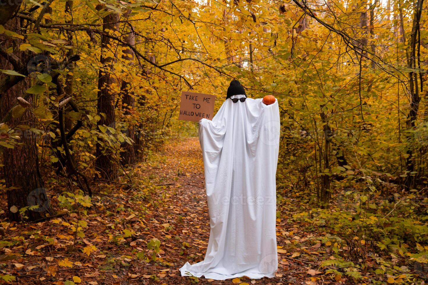 Ghost holding cardboard with text TAKE ME TO HALLOWEEN and pumpkin Trendy halloween celebration outdoors in autumn time. Handmade ghost costume from sheets, cap and glasses. Fall forest orange leaves. photo