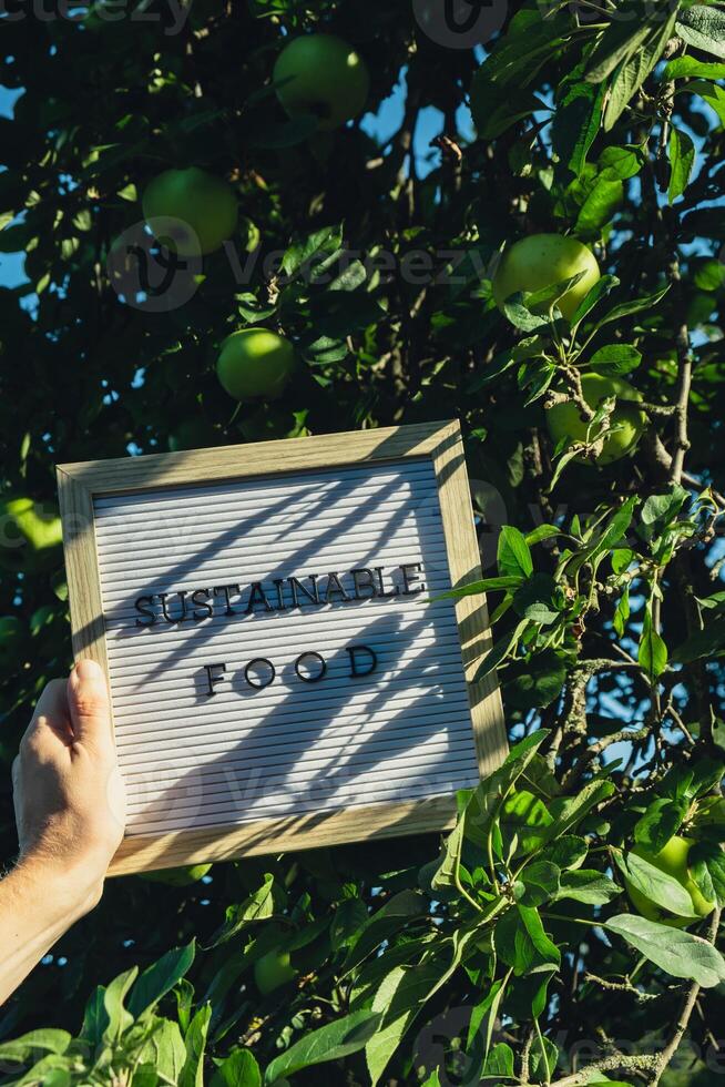 Letter board with text SUSTAINABLE FOOD on background of garden apples. Organic farming, produce local vegetables concept. Supporting local farmers. Seasonal market photo